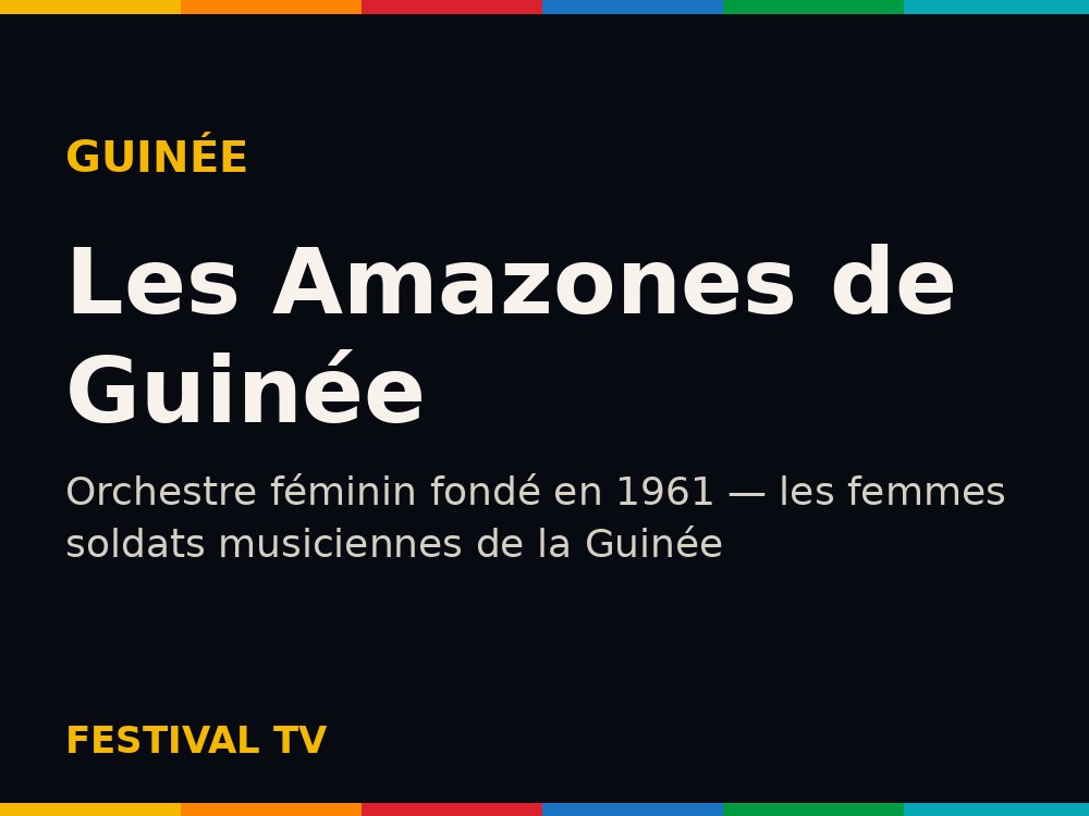 Les Amazones de Guinée — photo de l'artiste