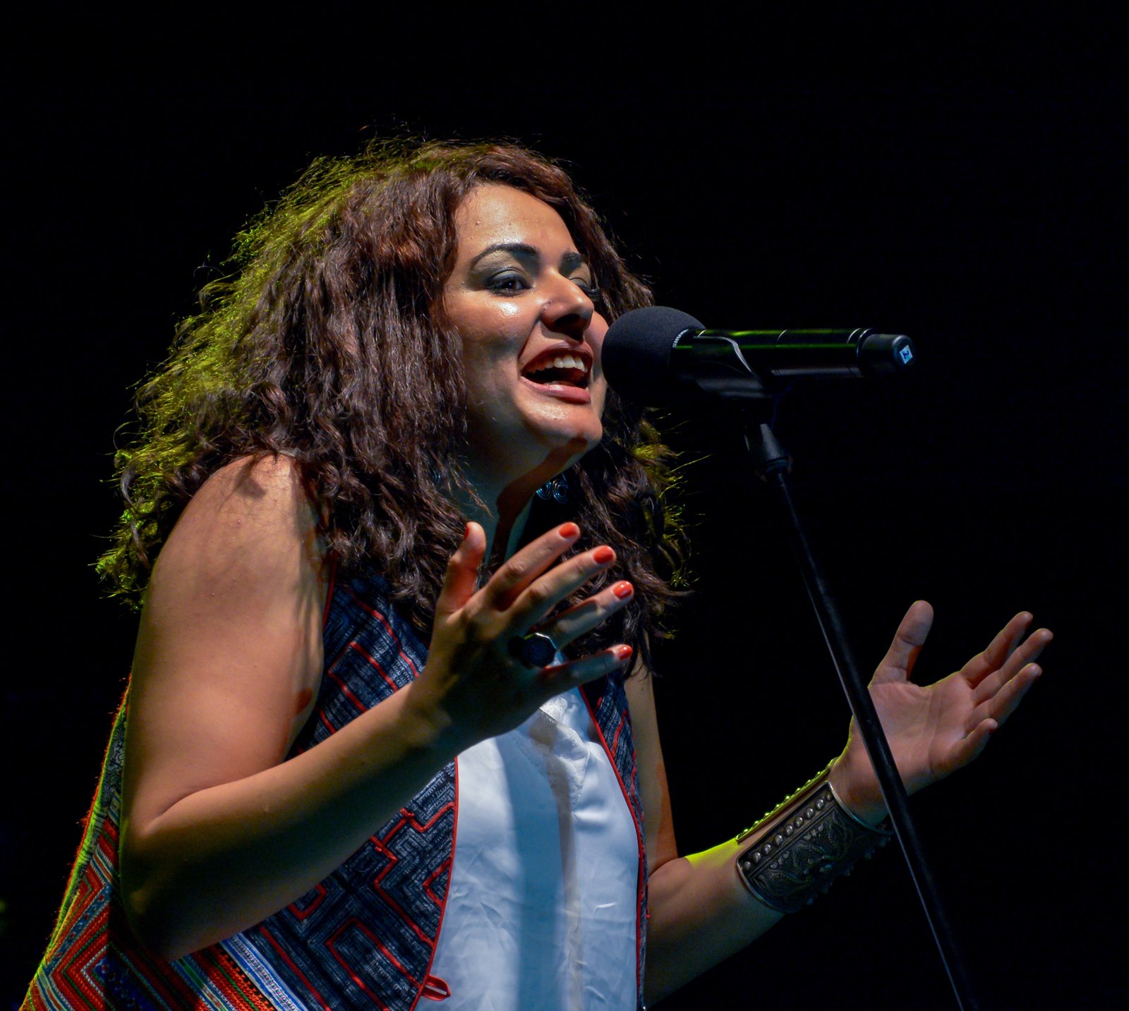 Dina El Wedidi — picture by the artist