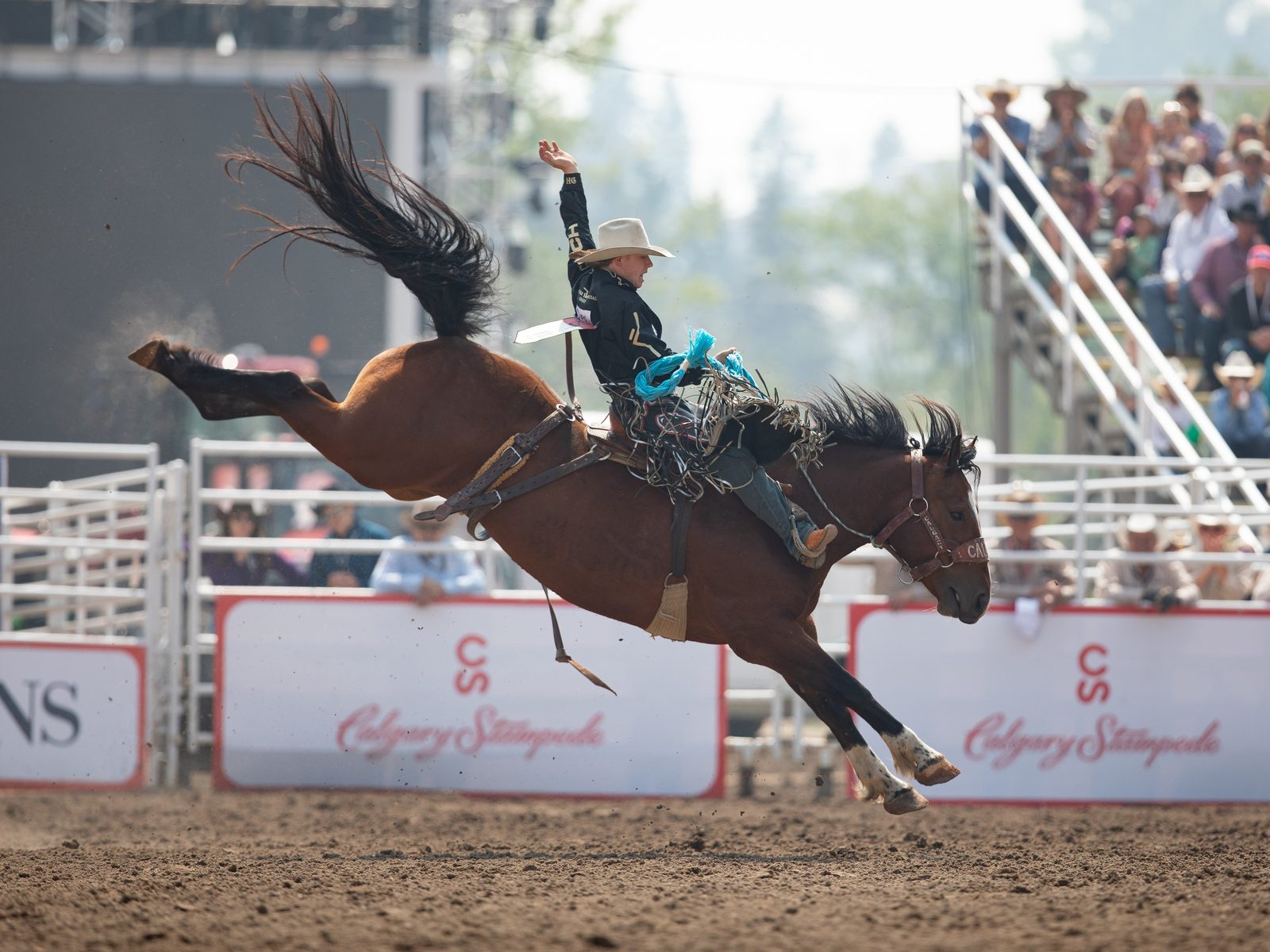 Calgary Stampede — poster / official photo