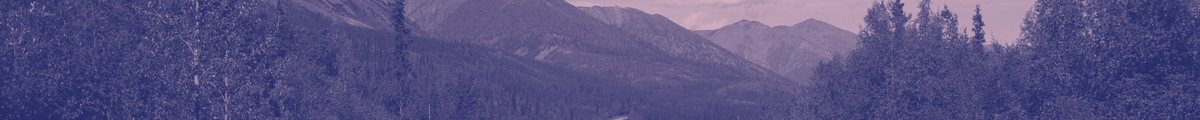 Official banner of the Dawson City Music Festival