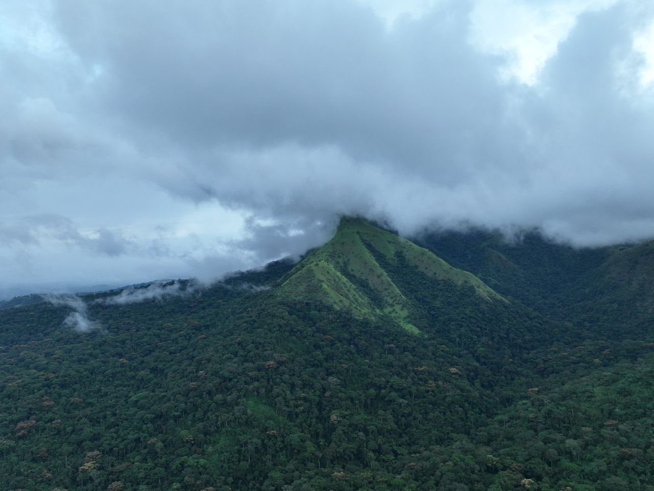 Monts Nimba, secteur guinéen