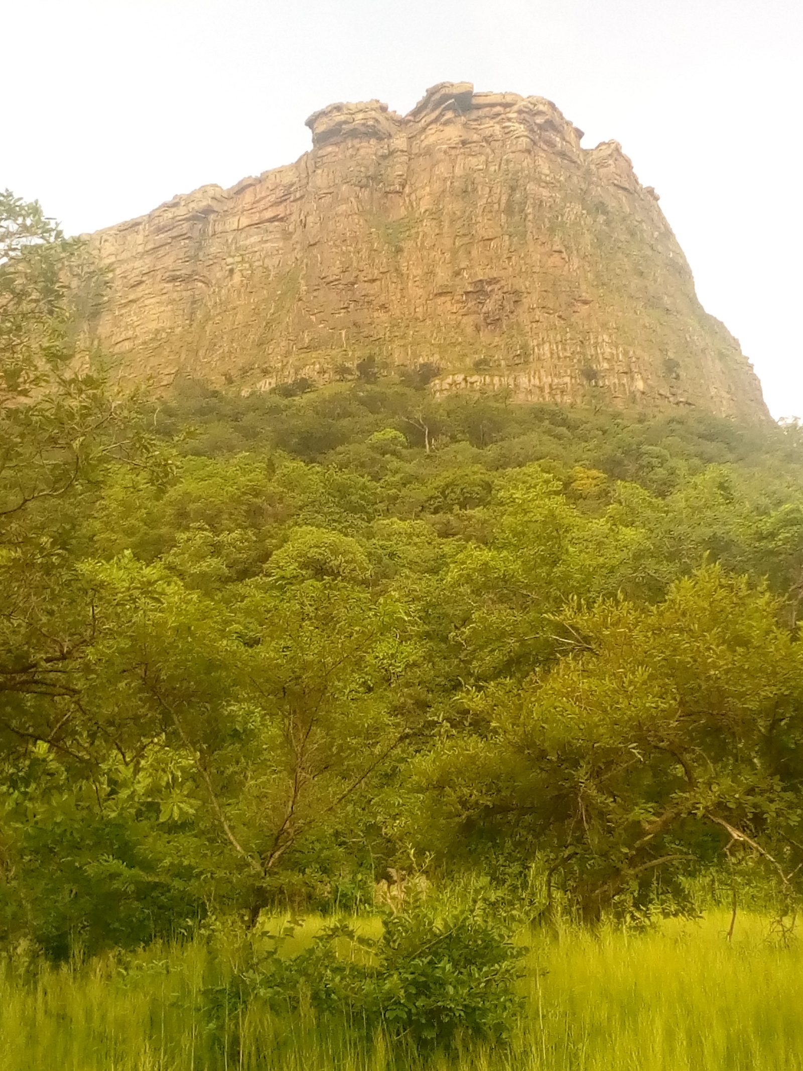 Parc national du Badiar