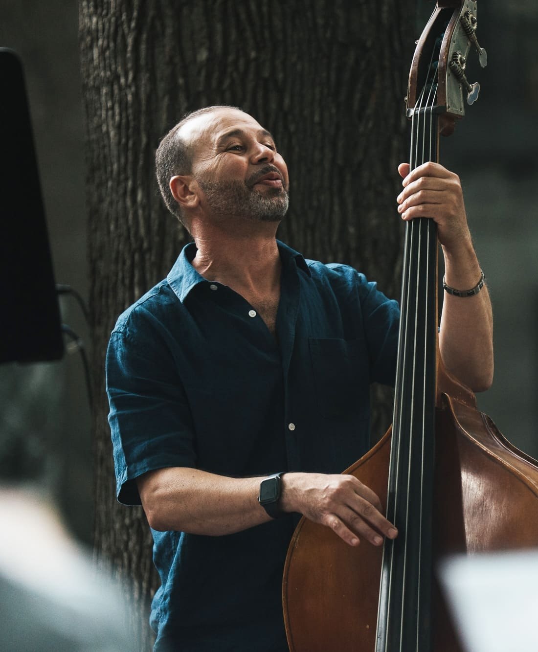 Festival des musiciens du monde — affiche / photo officielle