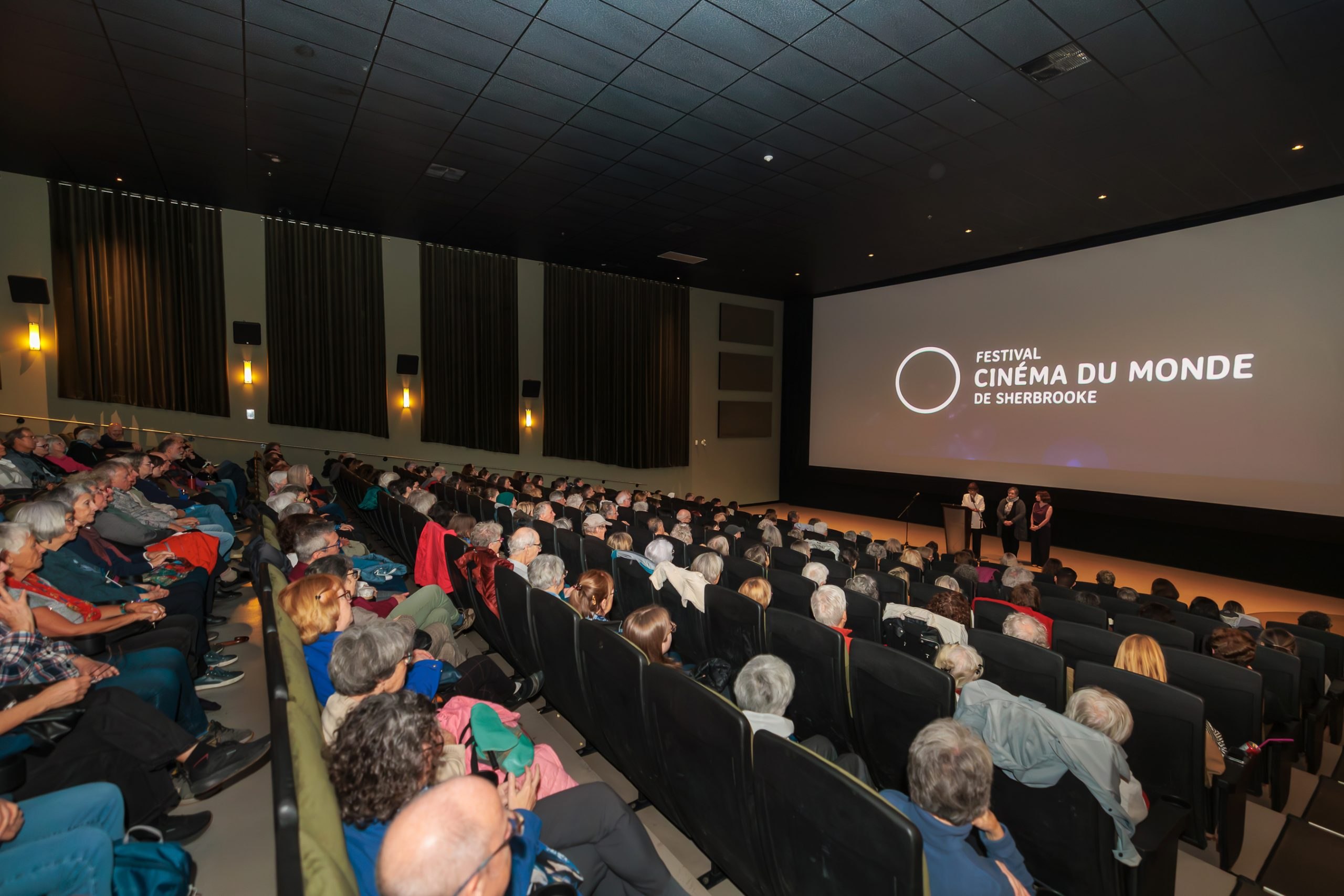 Festival du cinéma du monde de Sherbrooke — affiche / photo officielle