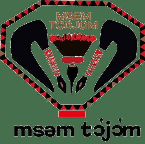 Festival Msem Todjom — affiche / photo officielle
