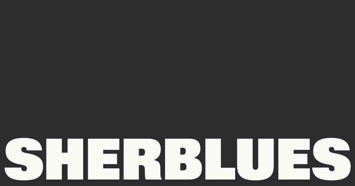 Festival Sherblues — affiche / photo officielle