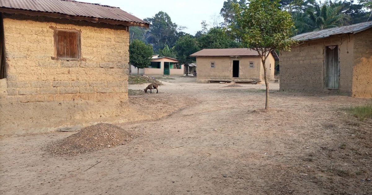 Dambo Oh Kobanga — Centres culturels, musées et lieux de culture, Guinée