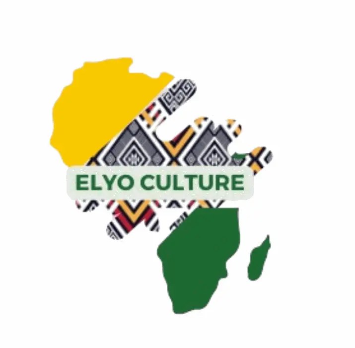 Institut ELYO Culture — Institutions culturelles, Côte d’Ivoire