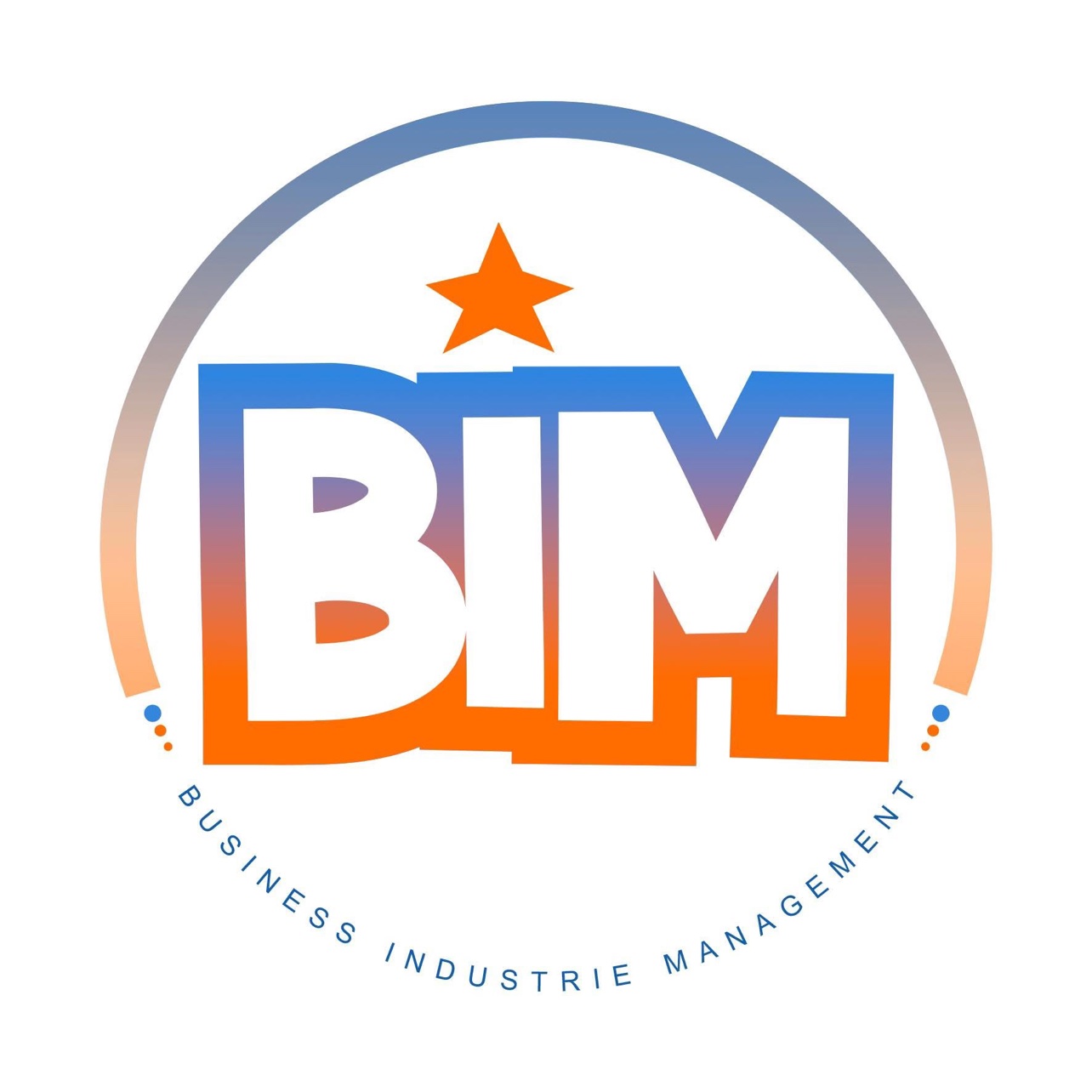 BIM — Business Industrie Management