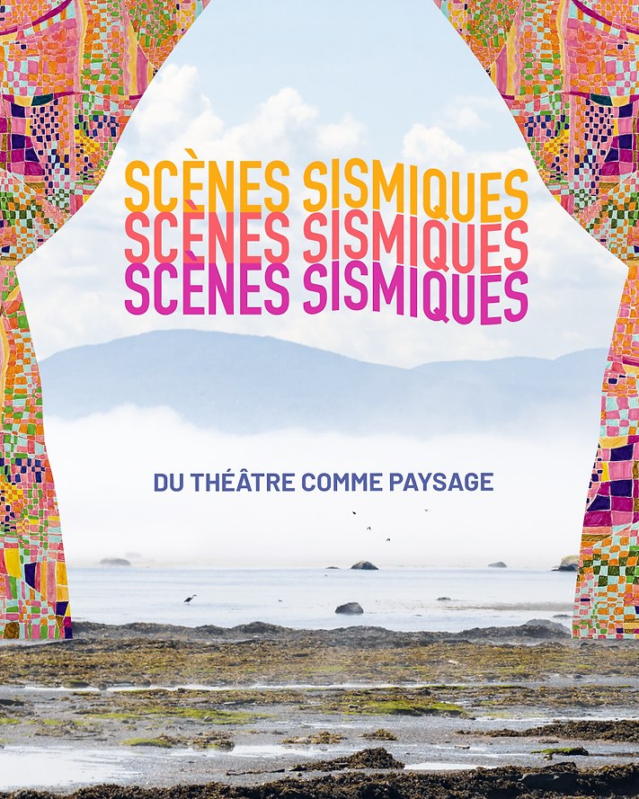 Scènes sismiques — affiche / photo officielle