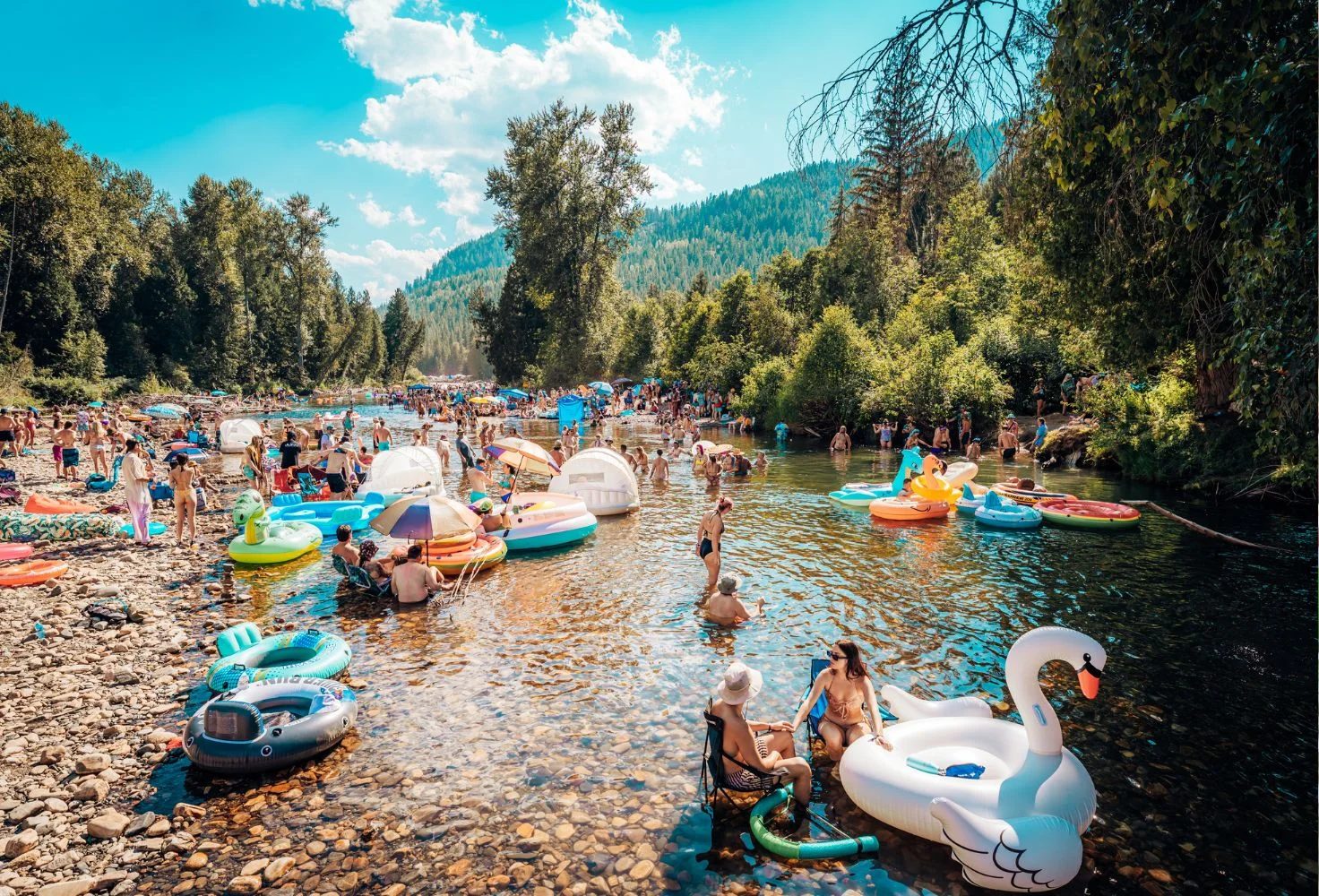 Shambhala Music Festival — poster / official photo