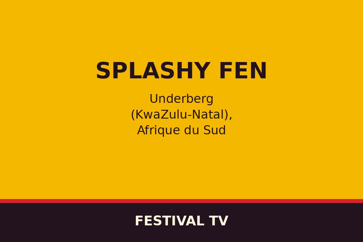 Splashy Fen — affiche / photo officielle