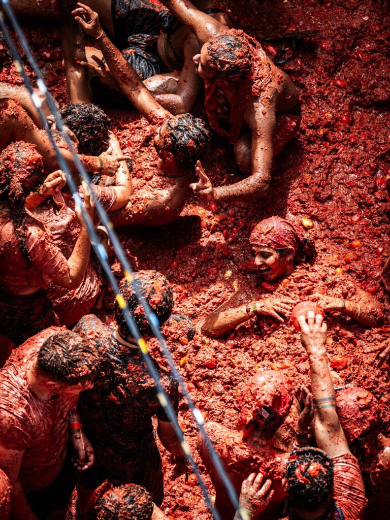 La Tomatina — affiche / photo officielle