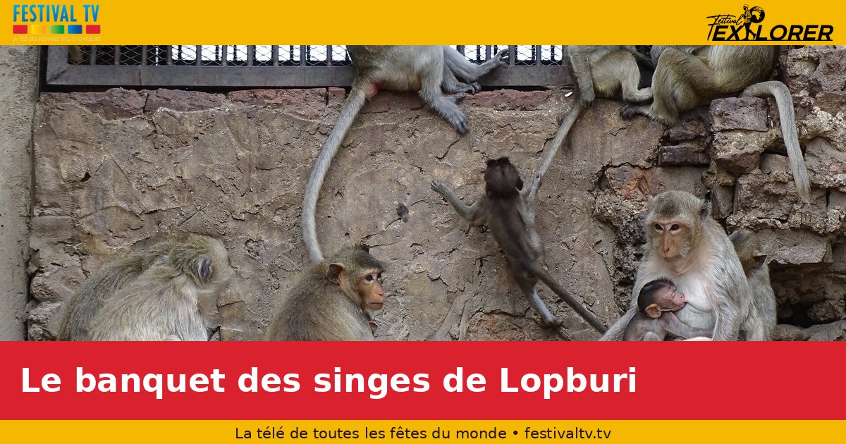 Le banquet des singes de Lopburi