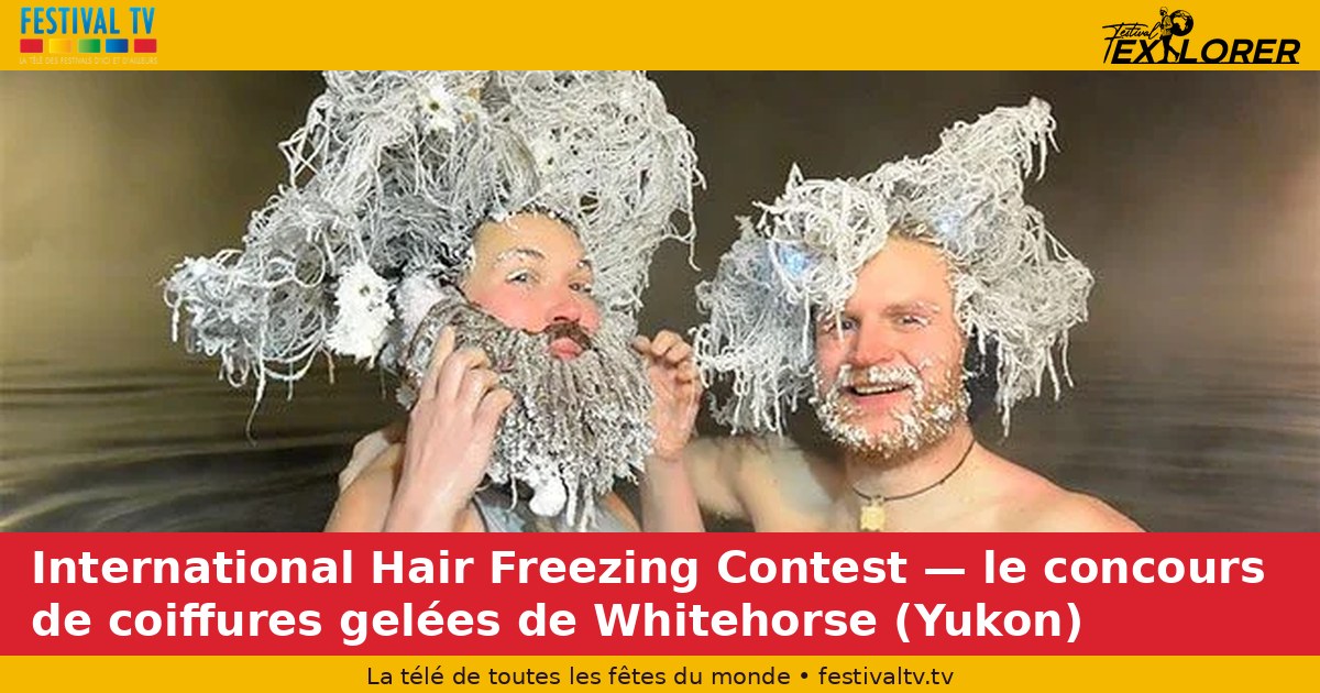 Article Festival TV sur le concours de coiffures gelées